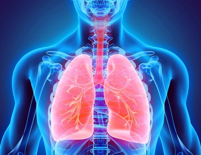 Реабилитация (восстановление) после COVID-19 и пневмонии - Санаторий «Русский лес»