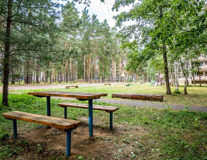 Внешний вид и территория - Санаторий «Русский лес»