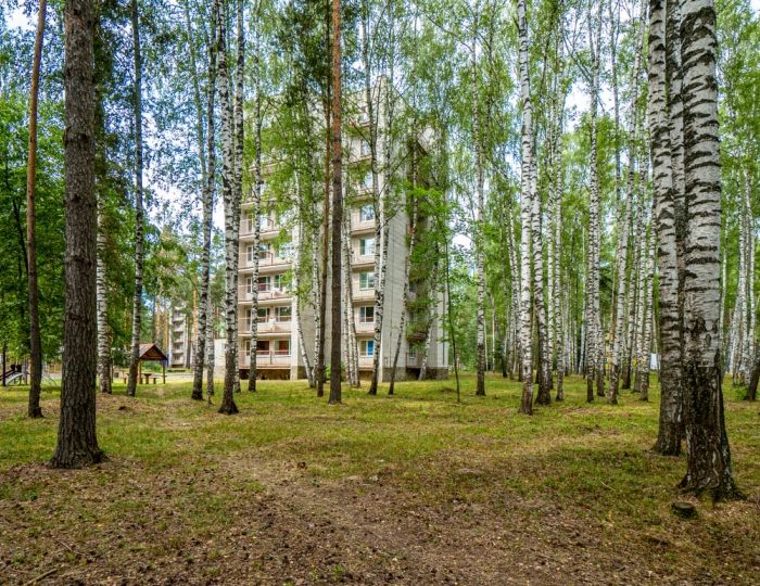 Внешний вид и территория - Санаторий «Русский лес»