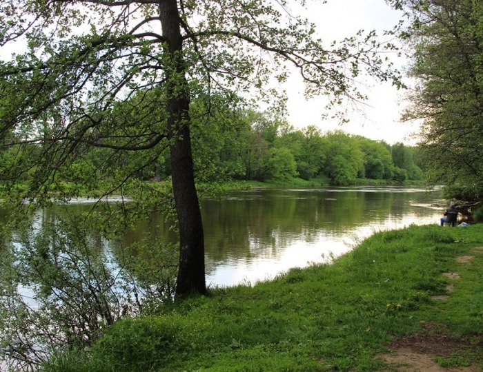 Мангальная площадка - Санаторий «Русский лес»